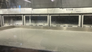 Thumbnail of post image 037