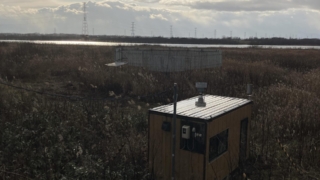 Thumbnail of post image 157